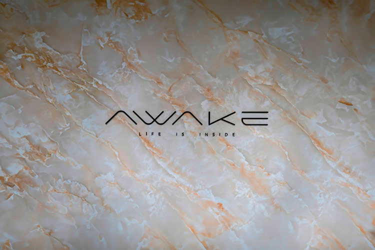 Awake