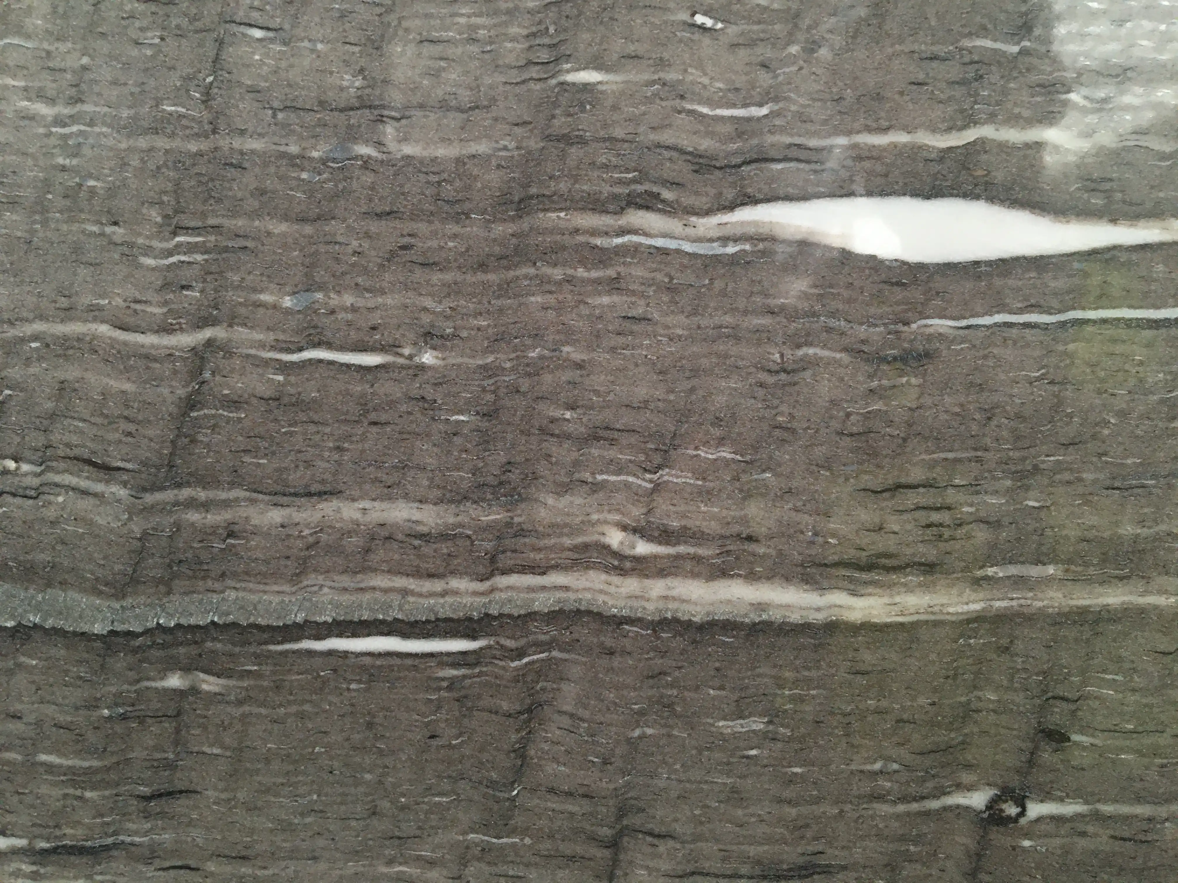scalea-cygnus-vein-cut-di-marmore